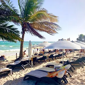 Silversands Boutique - 5th Ave 5* Playa del Carmen
